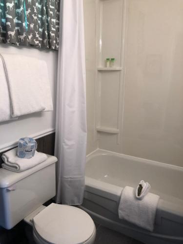Dwight德怀特村汽车旅馆的白色的浴室设有卫生间和浴缸。