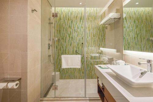 德清德清凯悦嘉轩酒店的带淋浴、盥洗盆和镜子的浴室