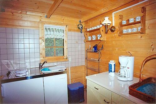 普特布斯Holzblockhaus-in-Putbus-in-idyllischer-Alleinlage的厨房配有水槽和台面