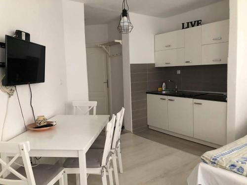 Apartman Travnik的厨房或小厨房
