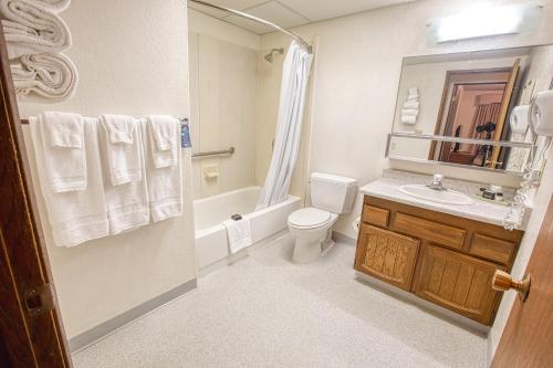 费尔班克斯韦奇伍德酒店的一间带水槽、卫生间和镜子的浴室