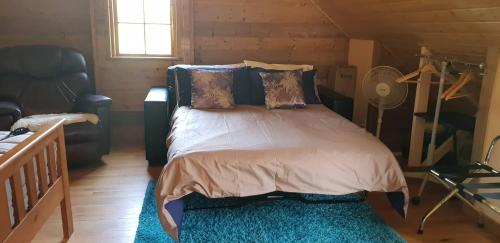 亚历山德拉Rail Trail Retreat Loft的一间卧室配有一张蓝色地毯的大床