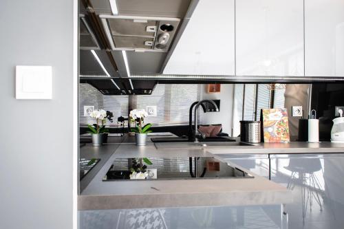 克拉科夫Dream LUX Apartments的厨房配有白色橱柜和水槽