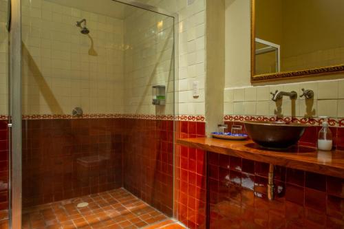 科利马戈韦尔纳多尔牧场精品酒店的一间带玻璃淋浴和水槽的浴室