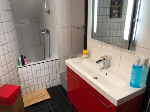 卢森堡Simple room in Luxembourg city的一间带红色水槽和淋浴的浴室