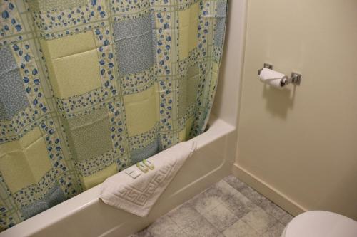 罗克波特斯库尼贝汽车旅馆的带淋浴、卫生间和毛巾的浴室