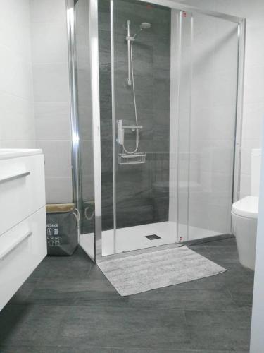 比利亚夫利诺La Guariza的浴室里设有玻璃门淋浴