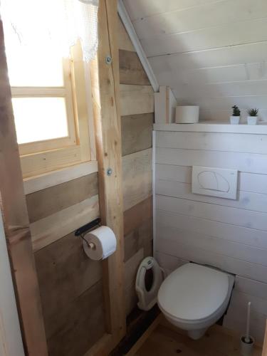 卡尔洛瓦茨Robinson Horseville的一间带卫生间和窗户的小浴室