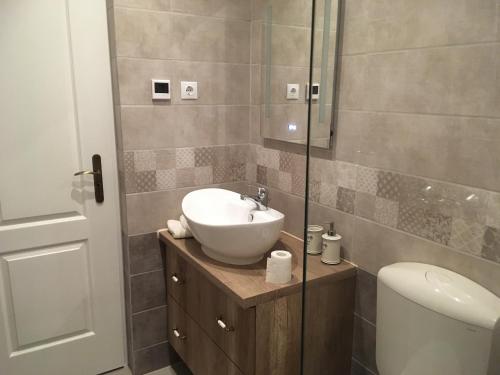 蒂萨凯奇凯Tisza Dream Apartman的一间带水槽、卫生间和淋浴的浴室