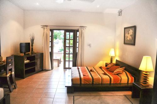 普拉兰大安塞区布里坦尼亚酒店的卧室配有床、电视和门