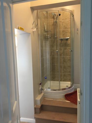 蒙哥马利Bron Hafren的带淋浴的浴室和玻璃门