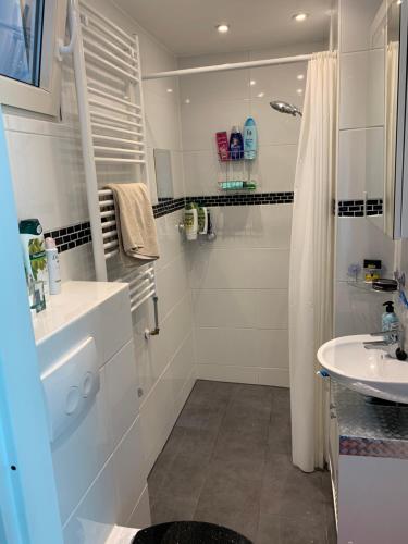 阿姆斯特丹Hababa Short Stay的带淋浴和盥洗盆的白色浴室