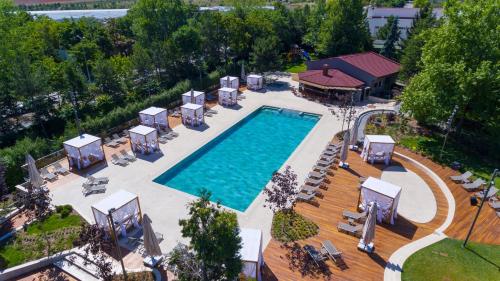 安卡拉比尔肯特酒店及会议中心的享有带躺椅的游泳池的顶部景致