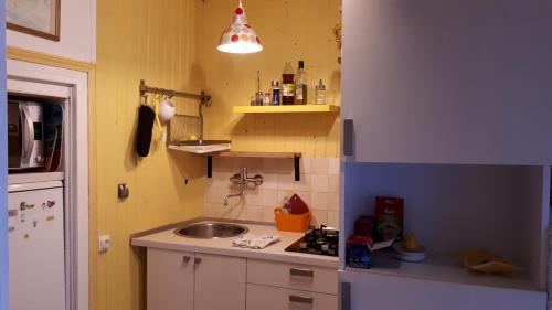图尔吉特乐尔米塔格酒店的一个带水槽和台面的小厨房