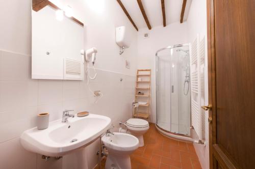 基安蒂格雷夫Torre nel Chianti的一间带水槽、卫生间和淋浴的浴室