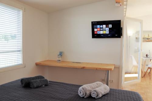 赖兴瑙Inselappartement Reichenau的卧室配有两张毛巾,床上配有一台电视。