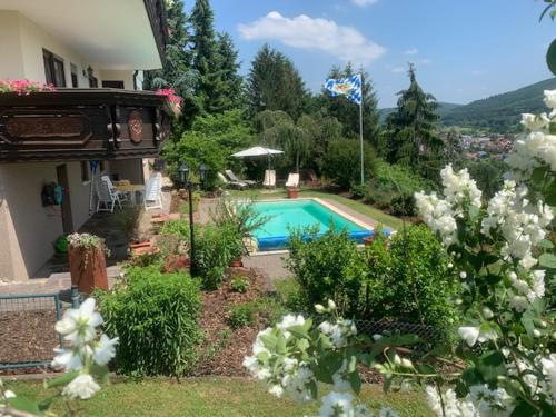 Stadtprozelten埃里卡小屋旅馆的庭院中带游泳池的房子