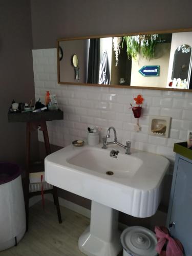 费康Chez Anne的浴室设有白色水槽和镜子