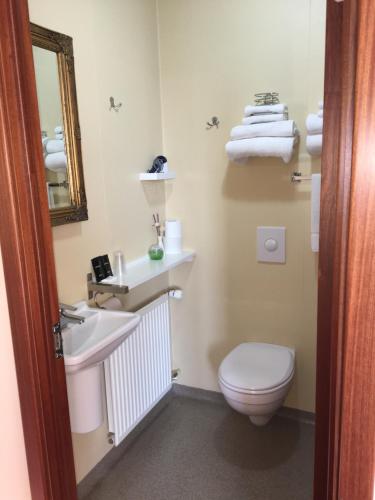 沃加尔沃加尔酒店的一间带水槽、卫生间和镜子的浴室