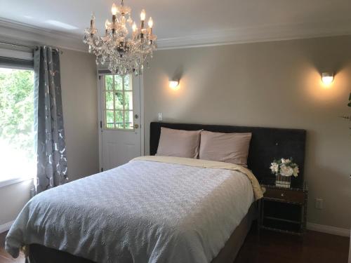里士满Royalty B&B的一间卧室配有一张大床和一个吊灯。