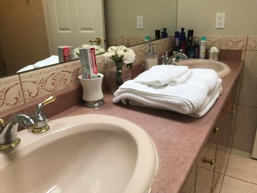 里士满Royalty B&B的浴室柜台设有两个盥洗盆和镜子