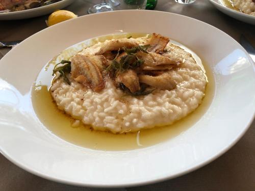 波尔莱扎康科迪亚酒店的米饭和肉的白盘食物