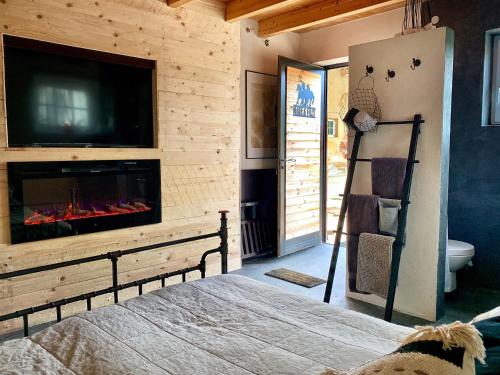 WeyerCottage House Weyer - Mare&Filly Room的一间卧室设有壁炉、电视和床。