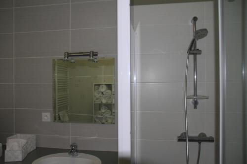 勒菲耶Gîte de La Saugiat的带淋浴、盥洗盆和镜子的浴室