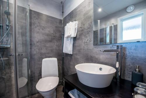 博伦厄Gylle Hotell & Restaurang Brödernas的一间带水槽、卫生间和淋浴的浴室