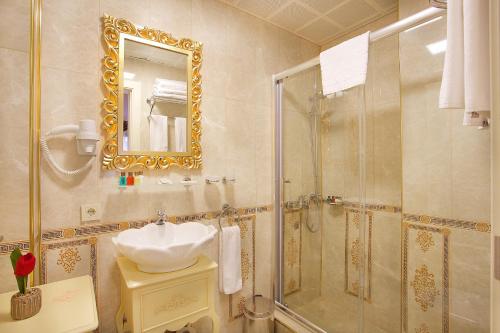 伊斯坦布尔Edibe Sultan Hotel的一间带水槽和淋浴的浴室