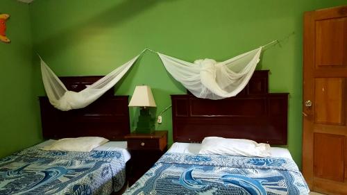 埃尔莱马特Guest house Posada Ixchel的绿色客房的两张床,上面设有吊床