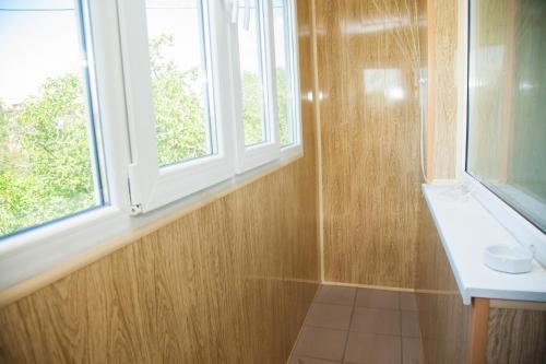 扎波罗热2Rooms Luxury Apartment on Gagarina near Intourist Hotel的带淋浴和盥洗盆的浴室以及窗户。