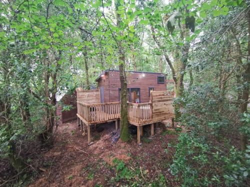 卡马森Tiny House-Hot Tub-St Clears-Pembrokeshire-Tenby的树林中间的树屋