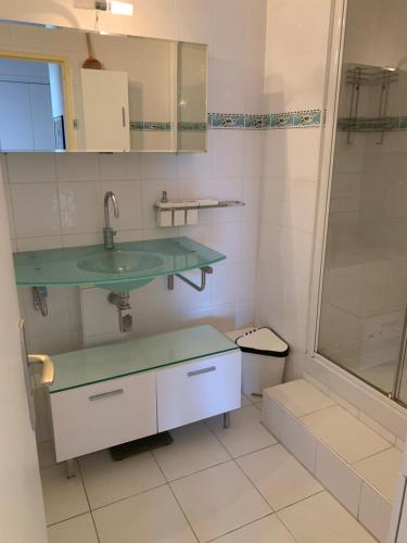 马赛PRADO PLAGE的一间带水槽和淋浴的浴室