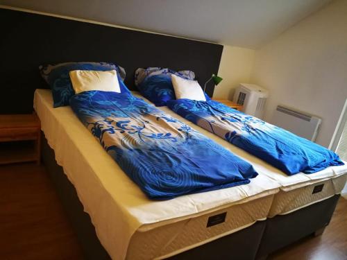 利普托斯基米库拉斯维旺迪度假屋的两张带蓝色毯子和枕头的床