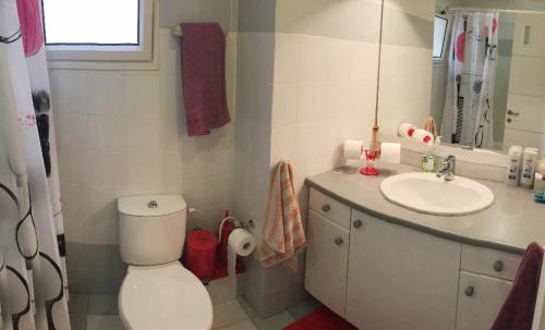 特拉维夫Comfortable quiet room with a private bathroom in shared apartment的一间带卫生间和水槽的浴室