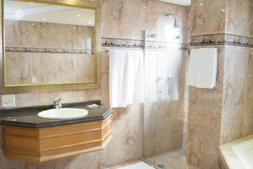 阿劳卡里亚Rihad Palace Hotel的一间带水槽和淋浴的浴室