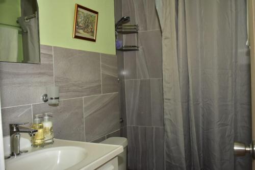 欧丘里欧Ambleside & Turtle beach towers的浴室配有淋浴帘和盥洗盆。