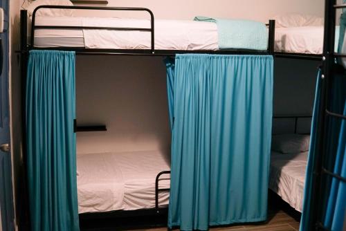 圣何塞NATIVUS Art-Hostel的客房内的2张双层床和蓝色窗帘