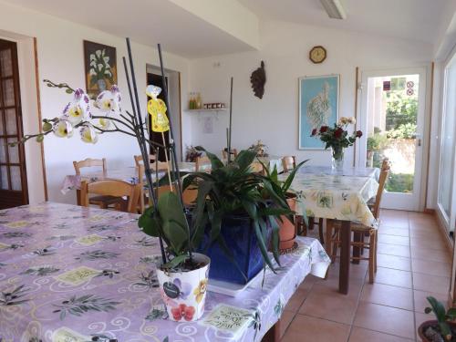 LuriChambre d hôtes chez raymonde et sandrine的一间用餐室,配有一张桌子和盆栽植物