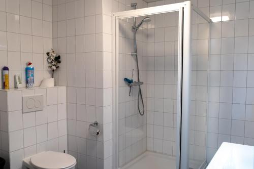 哈尔德韦克Huis van Harderwijk的带淋浴和卫生间的浴室
