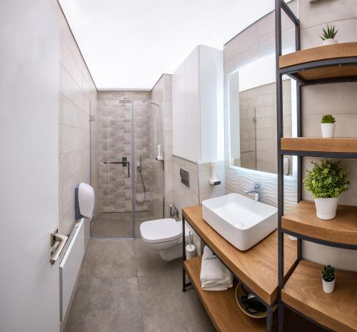 桑丹斯基South Place Apartments的浴室配有卫生间、盥洗盆和淋浴。