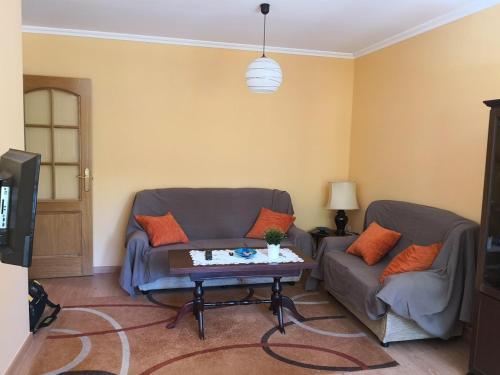 帕德隆Volvoreta的客厅配有两张沙发和一张咖啡桌