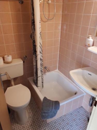 巴特洪内夫Pension Yak und Yeti的浴室配有卫生间、浴缸和水槽。