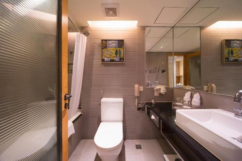 龙岗深圳龙岗丽湾酒店的一间带卫生间、水槽和镜子的浴室