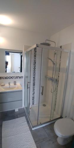 Saint-PlanchersCHAMBRE AVEC SUITE DE 26 M2的带淋浴、卫生间和盥洗盆的浴室