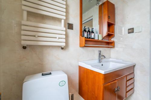 郑州【路客】郑州市金水区·凤凰茶城·路客精品公寓·00161580的一间带水槽、卫生间和镜子的浴室
