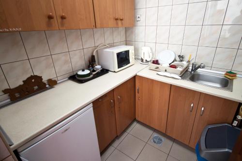 塔尔努夫Tarnowskie Centrum Informacji的一间带水槽和微波炉的小厨房