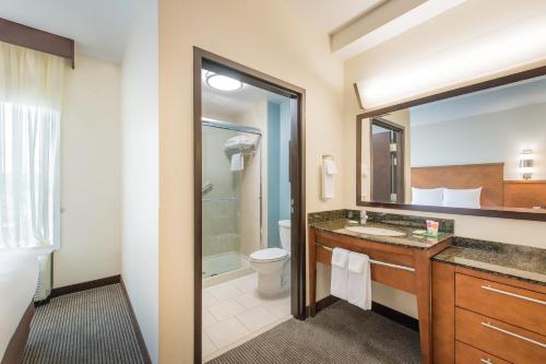 查尔斯顿凯悦广场查尔斯顿机场/会展中心的一间带水槽、卫生间和镜子的浴室