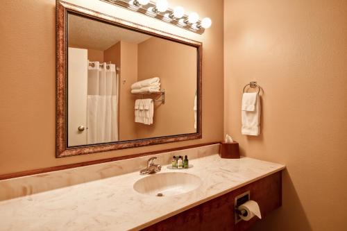 拉克罗斯GrandStay Hotel & Suites La Crosse的一间带水槽和大镜子的浴室